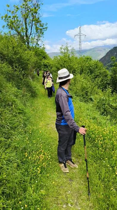 Caminata entre flores silvestres