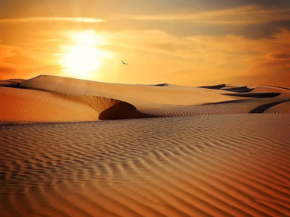 Silencio del desierto
