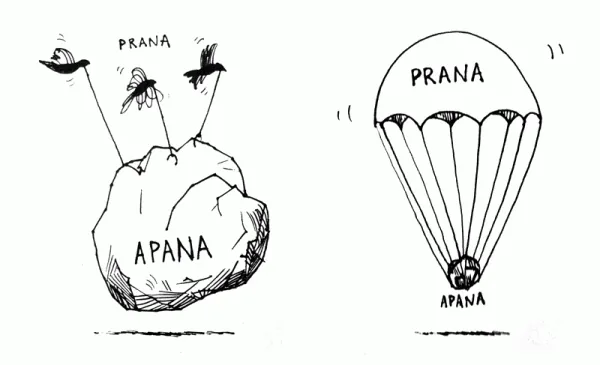 Prana vs Apana