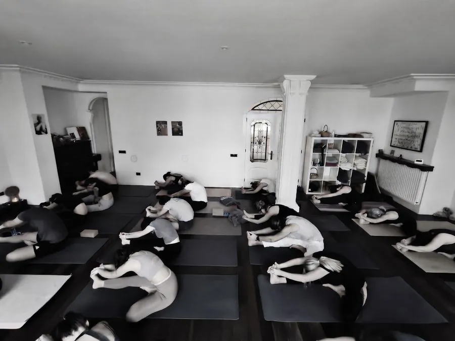 Ashtanga Vinyasa